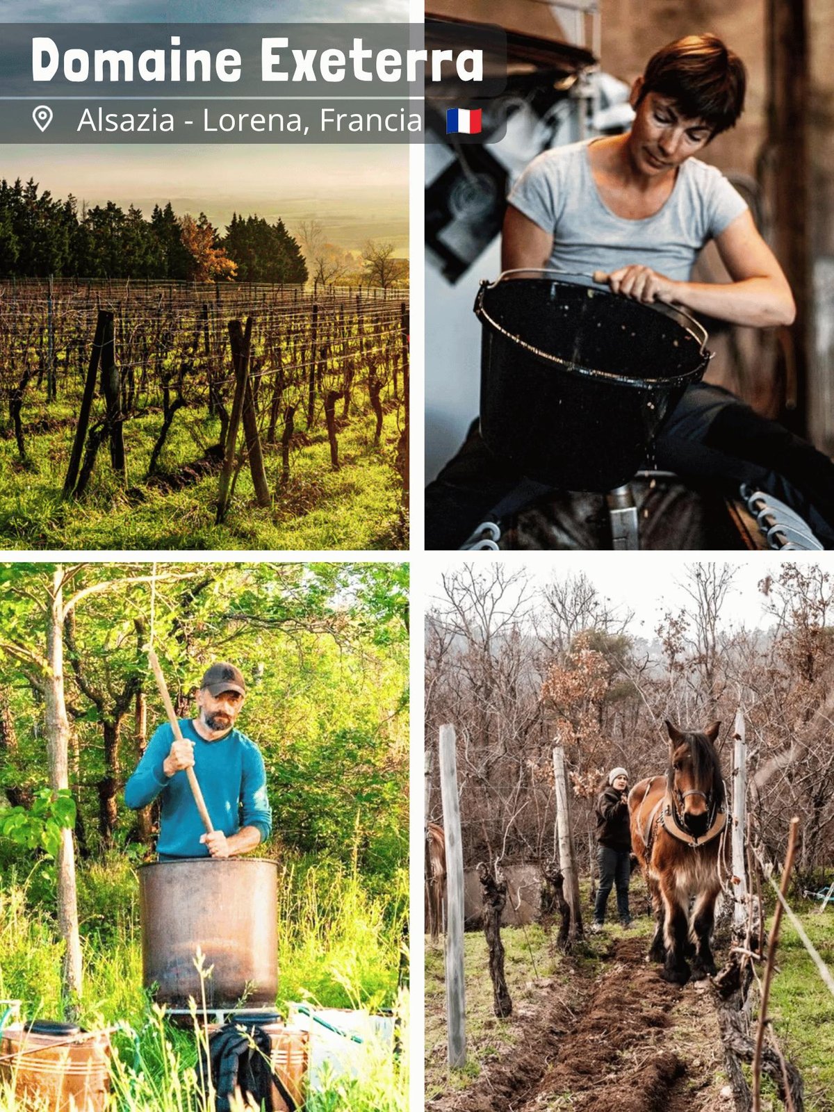 Domaine Exeterra - Florence Kachelhoffer